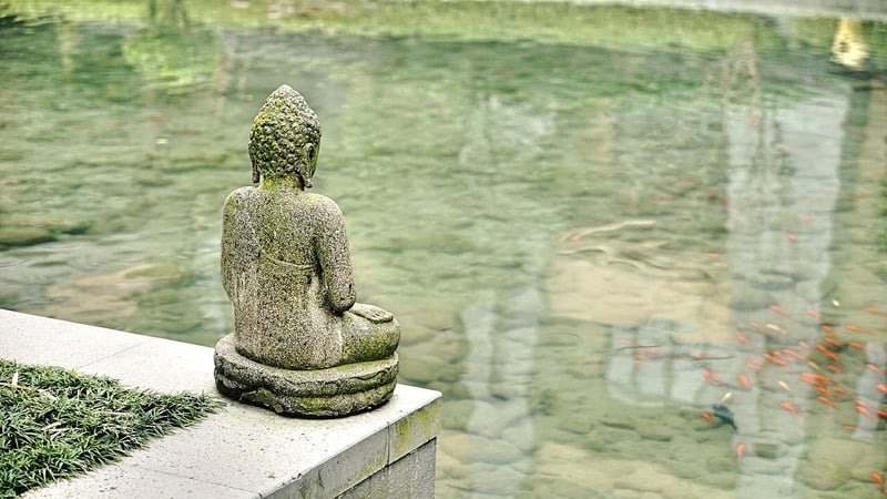 Living Sculptures
