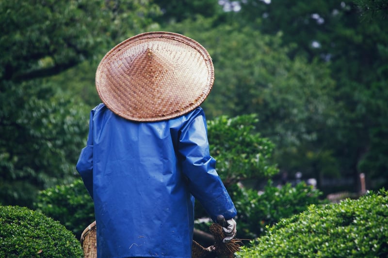 Landscaping Services